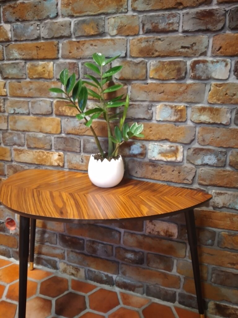 20240125_093203_mfnr